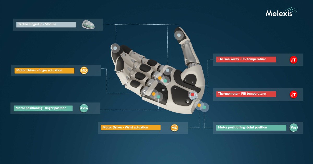The different senses of a machine